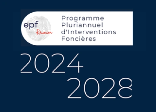 PPIF 2024-2028